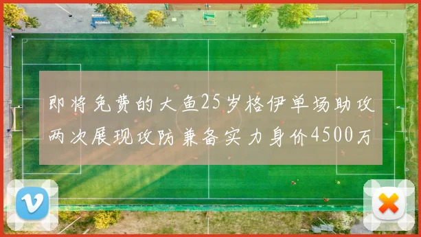 即将免费的大鱼25岁格伊单场助攻两次展现攻防兼备实力身价4500万