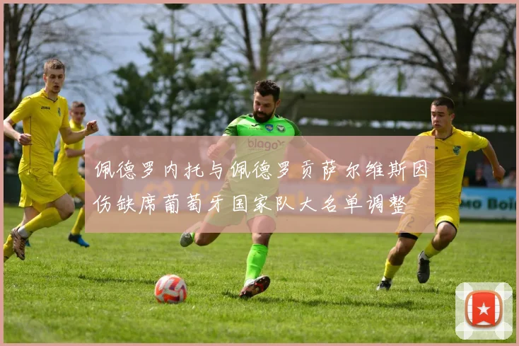 佩德罗内托与佩德罗贡萨尔维斯因伤缺席葡萄牙国家队大名单调整