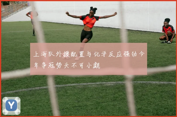 上海队外援配置与化学反应强劲今年争冠势头不可小觑