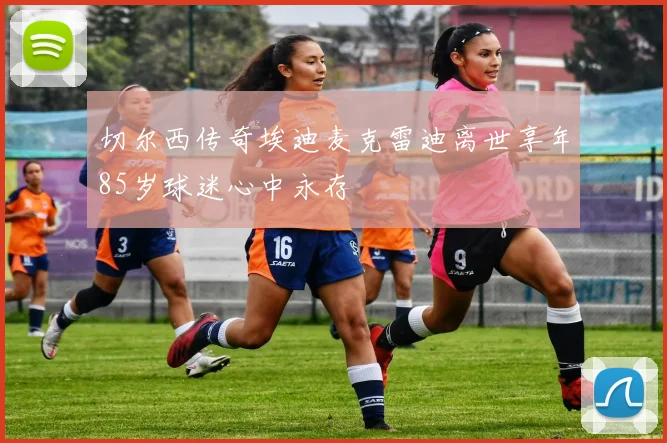 切尔西传奇埃迪麦克雷迪离世享年85岁球迷心中永存