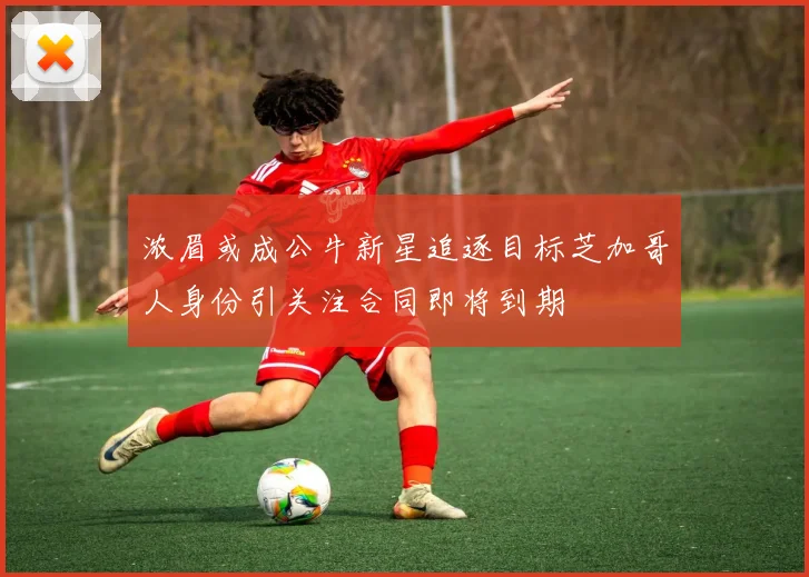 浓眉或成公牛新星追逐目标芝加哥人身份引关注合同即将到期