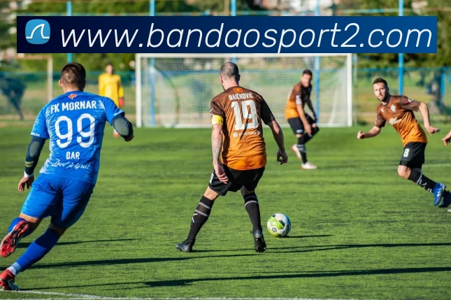 半岛体育平台生态图