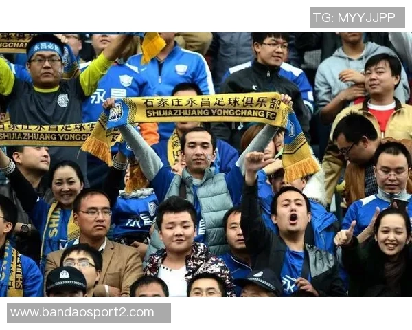 青岛海牛主场收官战战绩优异近五场保持不败展现强劲实力