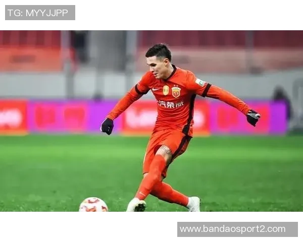 中超球员身价涨幅榜揭晓维塔尔领跑古尔芬克尔紧随其后